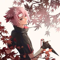 Sageki
