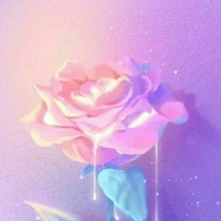 Female flower ( Rose)