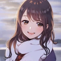 Y/n
