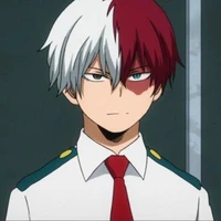 Todoroki shoto