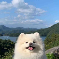 น้องเบิ้บบู้