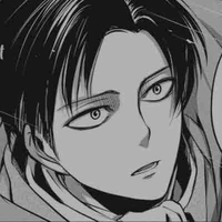 Levi