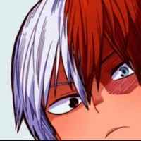 todoroki