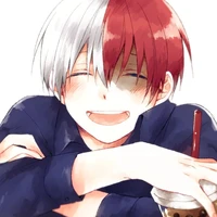 shoto todoroki