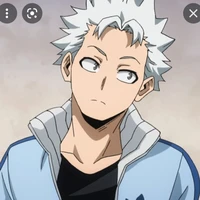 natsuo todoroki