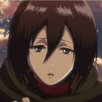 Mikasa