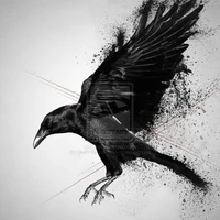 อีกาทุกคน