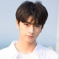 หลินอี(พี่ชายนางเอก)