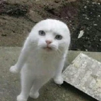 แอดเอง