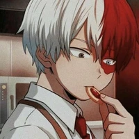 🧷 Todoroki
