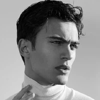 Vincent Sander