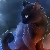 Toru(En transformation chat)