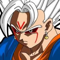 veggeto omni good