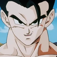 gohan