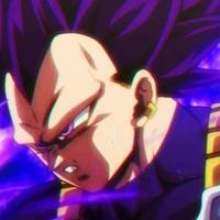 vegeta hakaishin