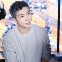 namjoon ( BTS)