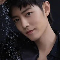 xiao zhan