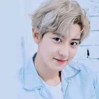 Park Chanyeoul