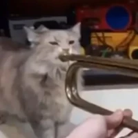 Eu