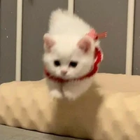 แอดเอง<3
