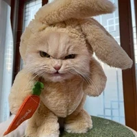 นักเขียน