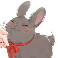 Amy(Coelhinha)