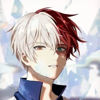 Shoto Todoroki
