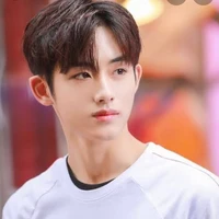 winwin tristan