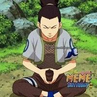 Shikamaru estratega (alfa)