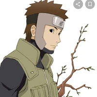 Yamato carpintero (Omega)