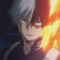 todoroki