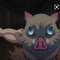 Inosuke Hashibiraa