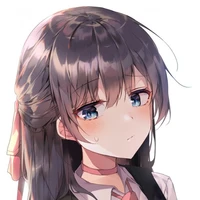 Y/N