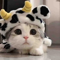 เมเปิ้ล