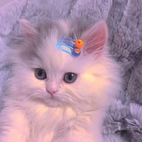 mimi (kucing)