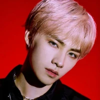 Xiaojun