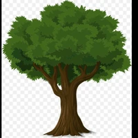 Tree (Fox