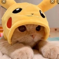 แอดเอ๋อ