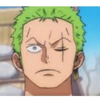 Zoro [24]