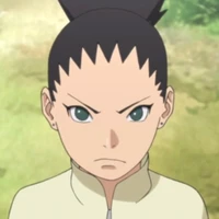 shikadai