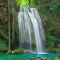ทุกคน