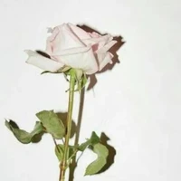 someone