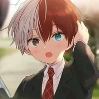 shoto todoroki