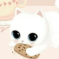 Cookie