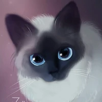 Bonne