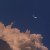 all