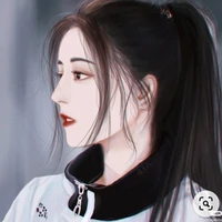 Sari