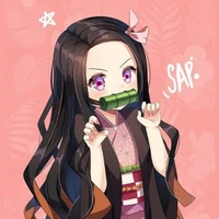 <❤️autora💖>
