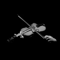 🎻