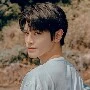 lee taeyong Gradionts